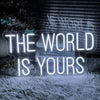 The World Is Yours